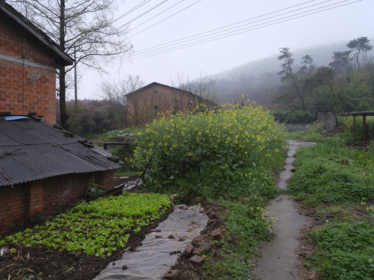 三线企业宏伟机械厂,三线企业宏伟机械厂老厂区视频