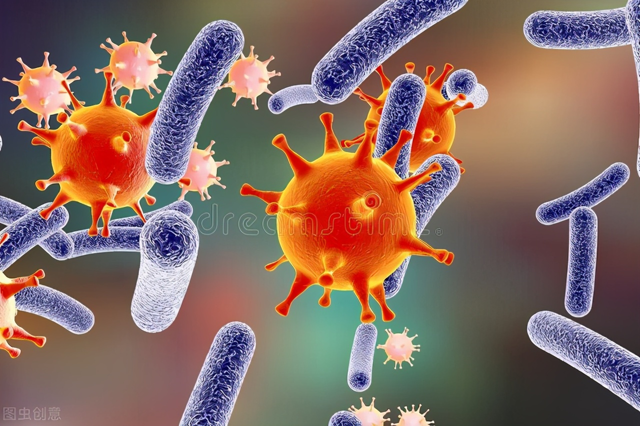 在沙漠上遇到死骆驼要离开吗,在沙漠里死掉的骆驼为什么不能碰