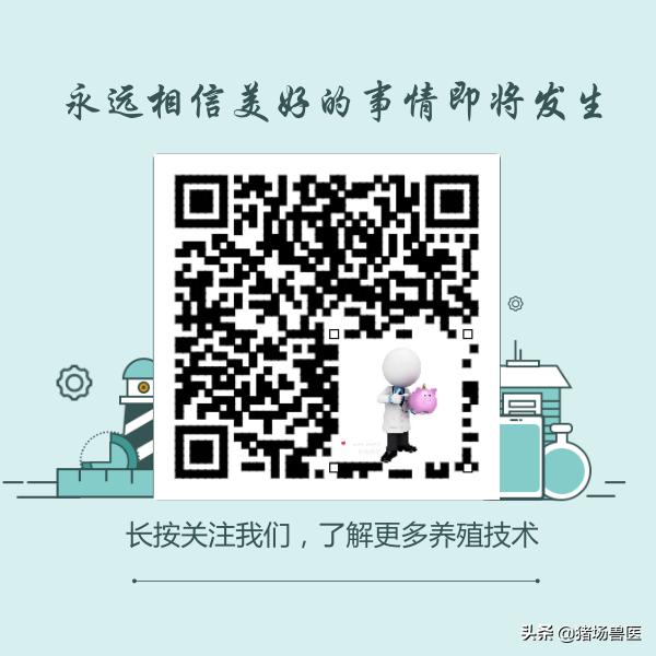 母猪难产用手掏过还能继续喂吗,母猪难产用脚踩哪个部位最合适