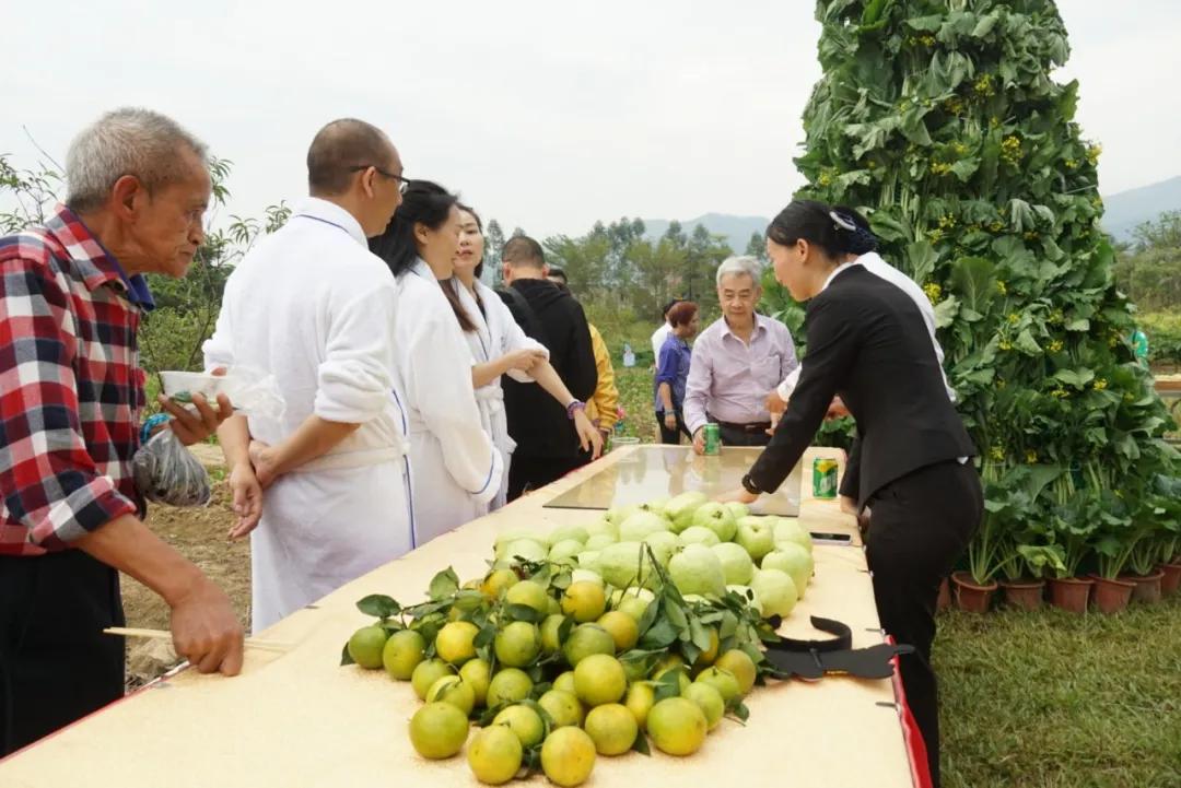 广州白水寨度假区酒店推荐,这家酒店