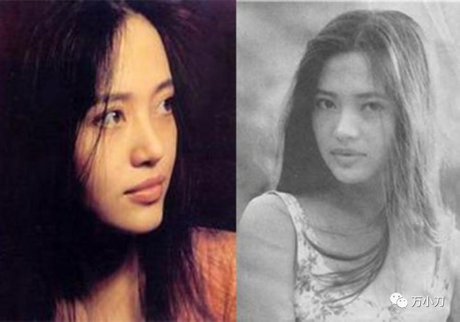 娱乐圈八爪鱼身份,娱乐圈的八爪鱼