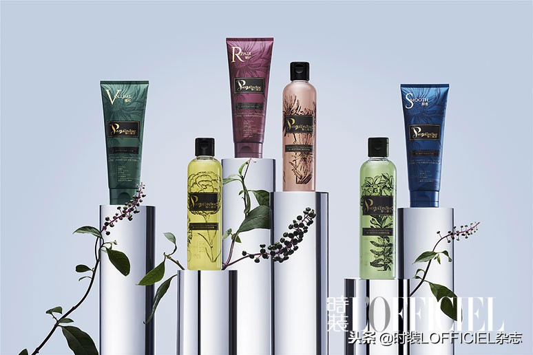 一束芬芳扑鼻的花,一束芳华水乳