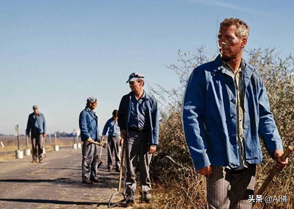 世界电影评分最高的十部电影,全球近十年来口碑最好的电影