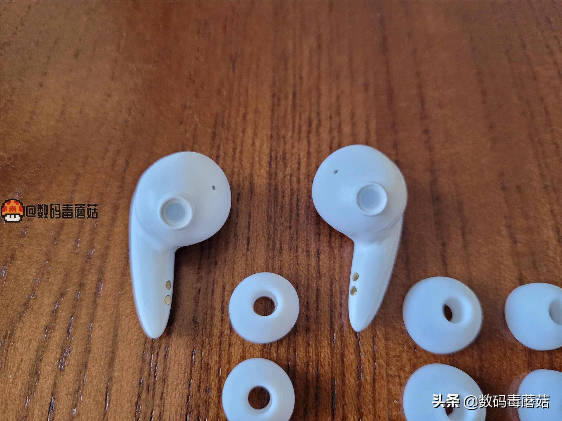 鍏ラ棬鑰虫満璇勬祴,鍏ラ棬钃濈墮鑰虫満娴嬭瘎