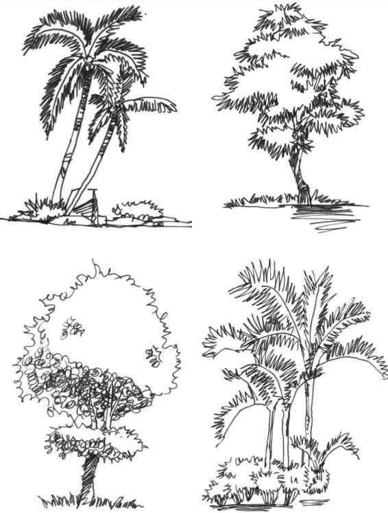 2022零基础速写教学一起画,新手速写画零基础教程步骤图