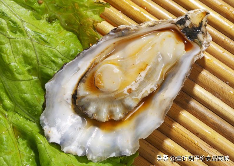 现在的牡蛎可以吃吗,牡蛎可以生吃的有哪些