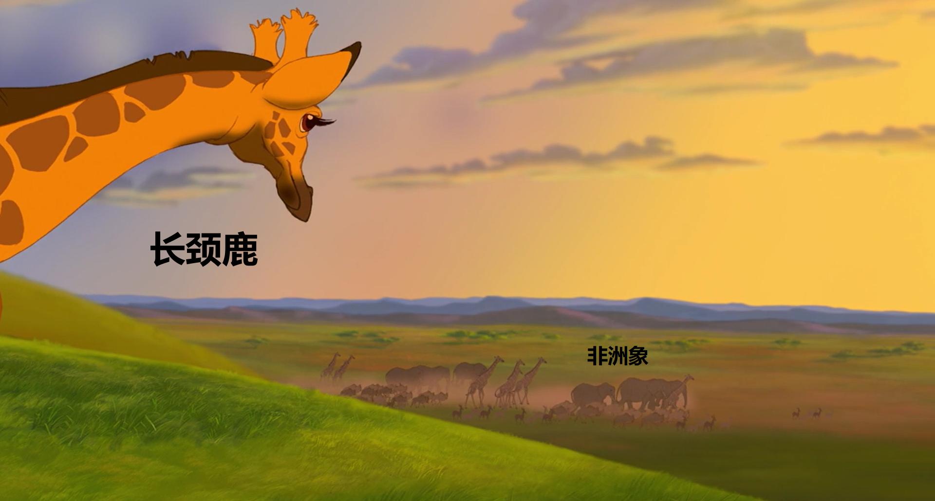 狮子王到底误导了多少人,狮子王误导人的三个真相