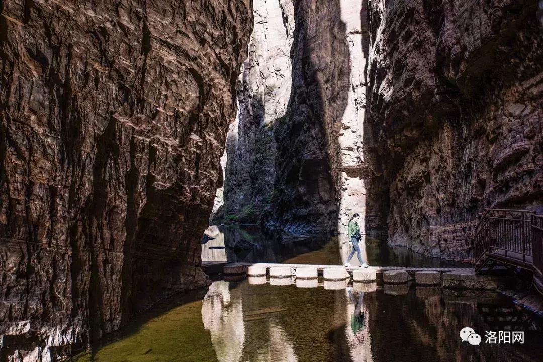 洛阳向全球推介,洛阳向世界发出邀请