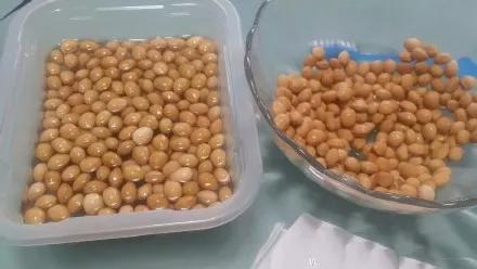 吃剩的水果核不要丢弃,吃剩的樱桃籽能种吗