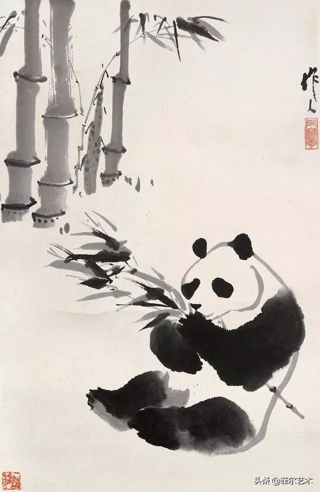 吴作人画速写熊猫,熊猫国画吴作人图文