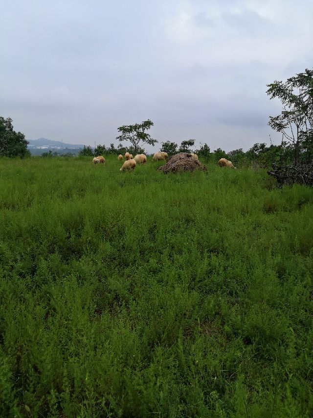 不知不觉中从夏天跑到了冬天,不知不觉跑到了冬天