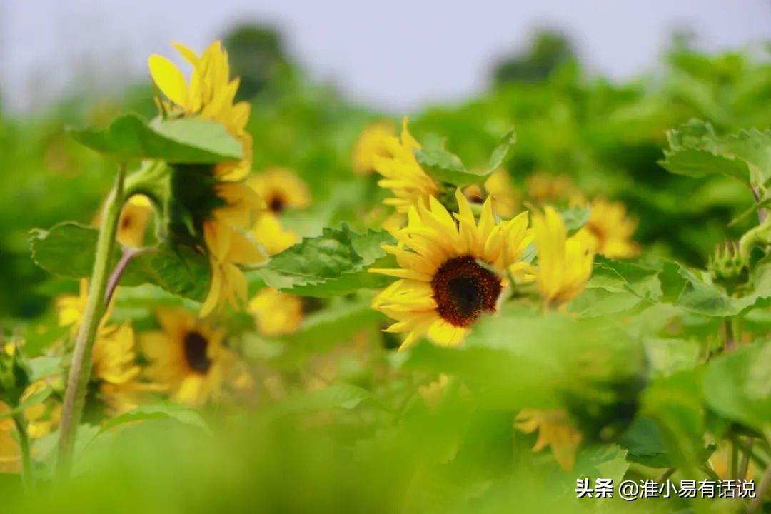 你想要的福利：快乐宝地，美丽倾心！这个便宜你占不占？