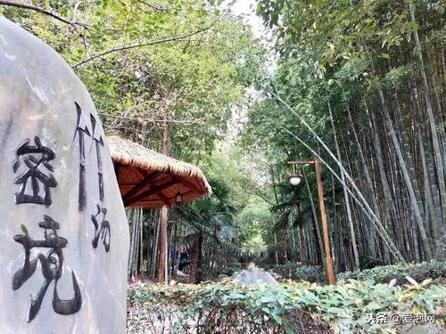 中国最具魅力的、最浪漫的温泉度假村:湖北洪湖悦兮半岛温泉!