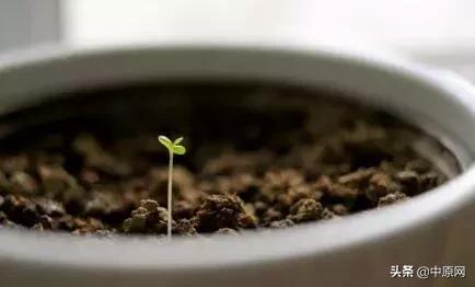 3月5日每天3分钟尽览天下事（习*平近**给文艺界、社科界的七句箴言）