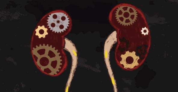 只要膀胱不炸裂，我憋着尿能把这套题做满分