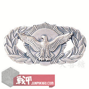 空军宪兵第四部分：安全部队制服配饰中的特色元素
