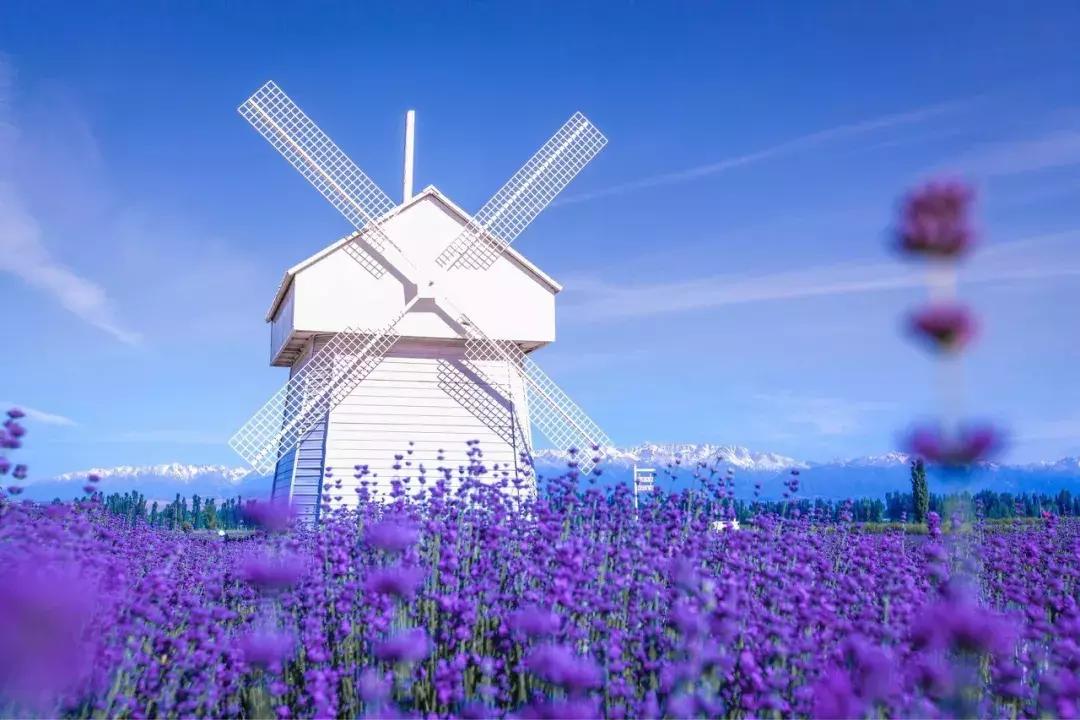 新疆的天堂在哪,新疆人间天堂在哪