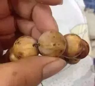 手串发霉了还能戴么,手串发霉能用除霉剂吗