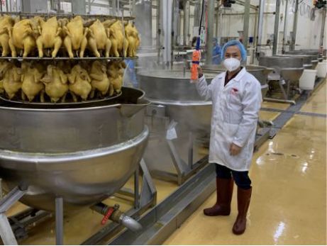 疫情防控责任报告,防控疫情责任