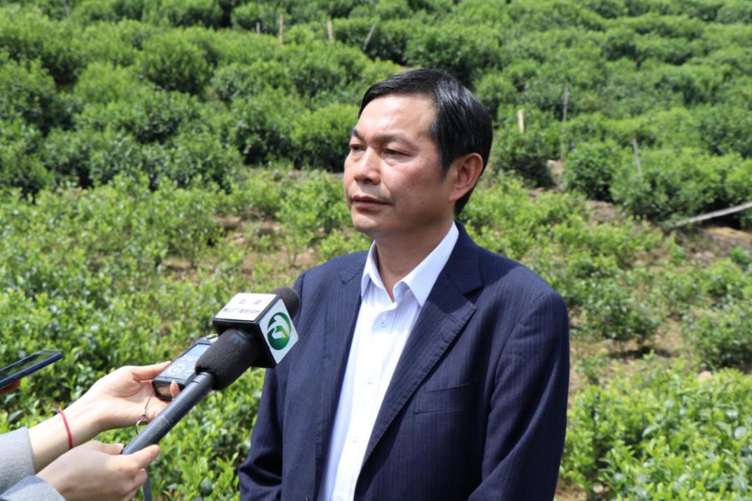 人间有味是清欢旅游,人间有味是清欢赏桂记