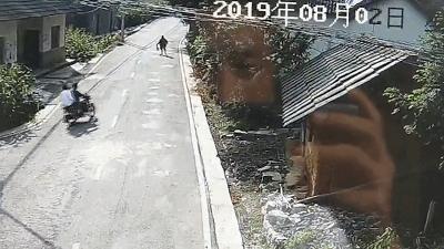 碰瓷新套路专挑双向两车道作案 (贵阳碰瓷套路真实案例)