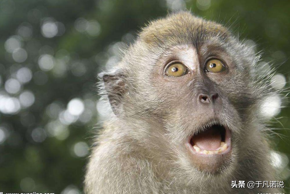 为什么总有些人那么痛恨医生