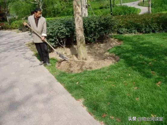 小区绿化养护一般做哪些工作,小区绿化养护需要什么资质