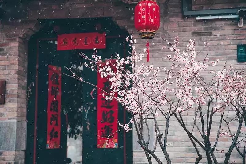 徐州市中心处竟隐藏着一片梅花林，时尚又古香的街区被映成粉色