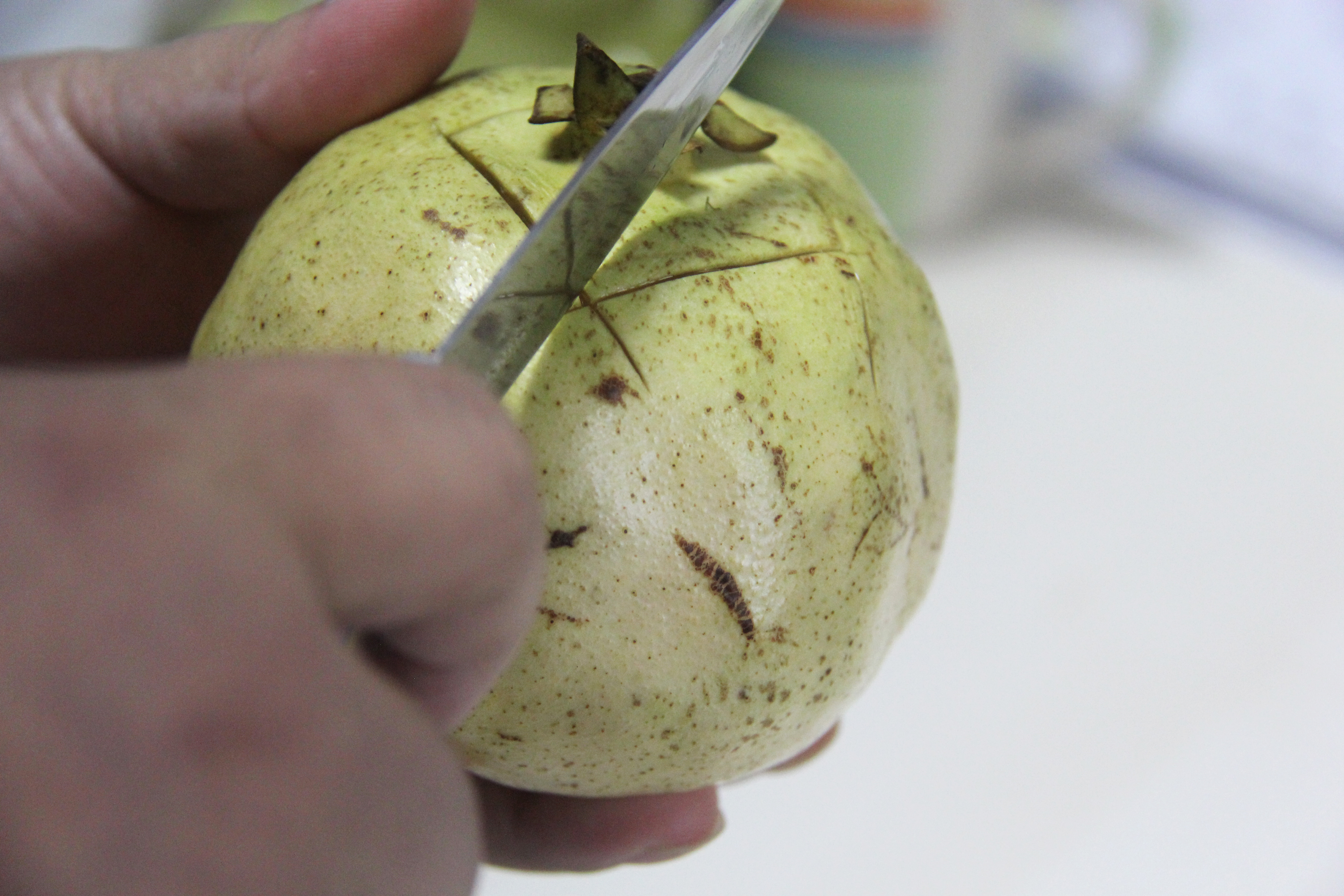 玉石籽石榴花色,白花玉石籽石榴历史