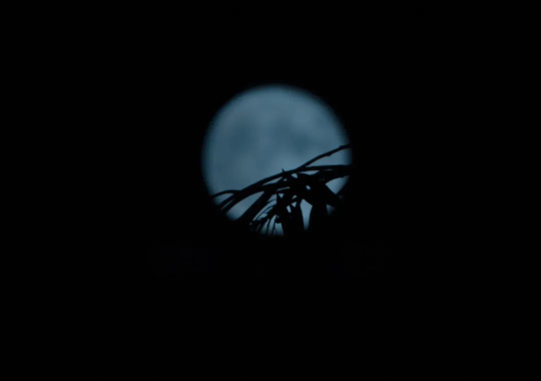 最好的月亮拍摄方法,真实的月亮星空怎样拍才好看