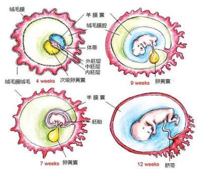 宝宝蛋白过敏为什么便血,宝宝便血的过敏源