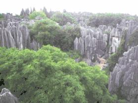 昆明石林景区值得去吗,昆明石林精华景点