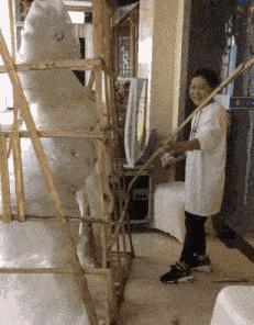 搞笑鸡下蛋恶搞图片,鸡图搞笑图片