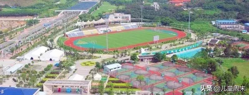 深圳游泳教练培训学校有哪些,深圳成人游泳培训班哪里好