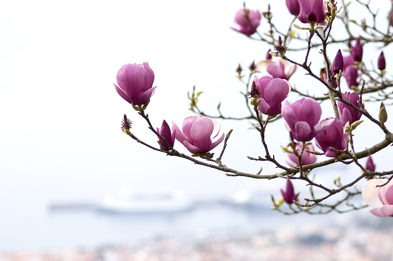 期货动态风险控制,期货公司风险控制体系