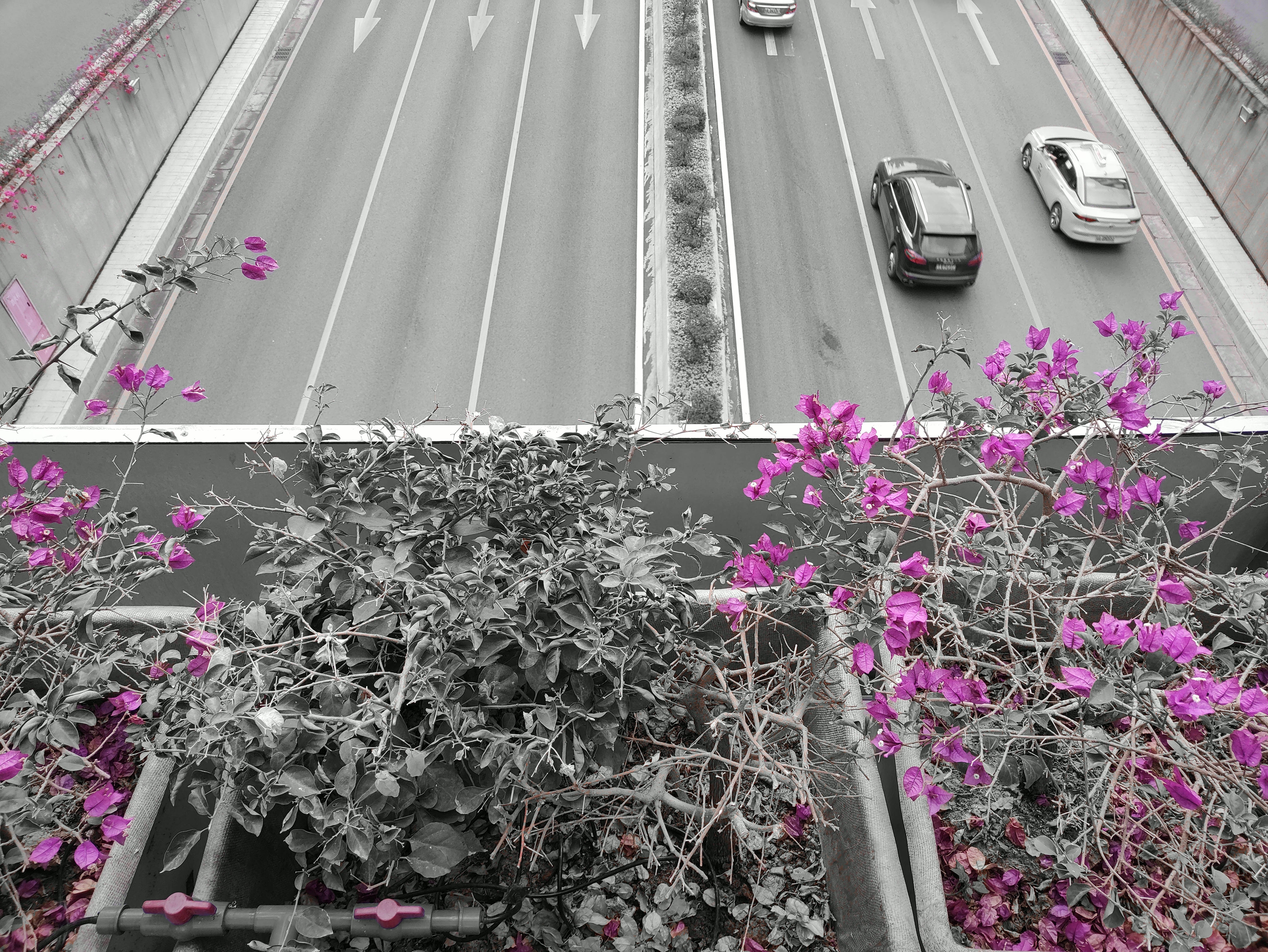 摩托罗拉edges压得住骁龙870吗,motoedgespro真实体验