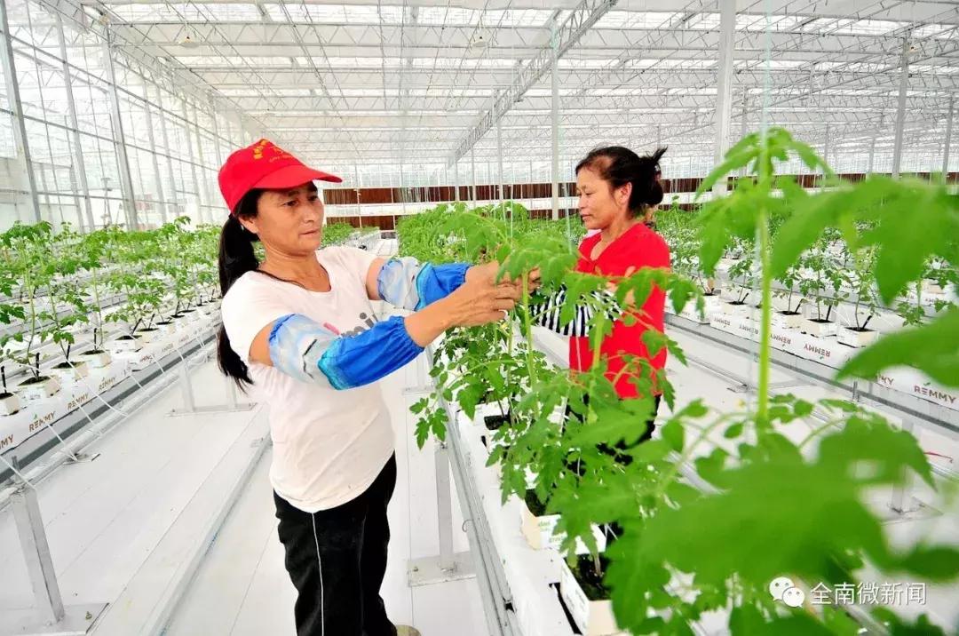 子时到子时,申时到亥时14个时辰