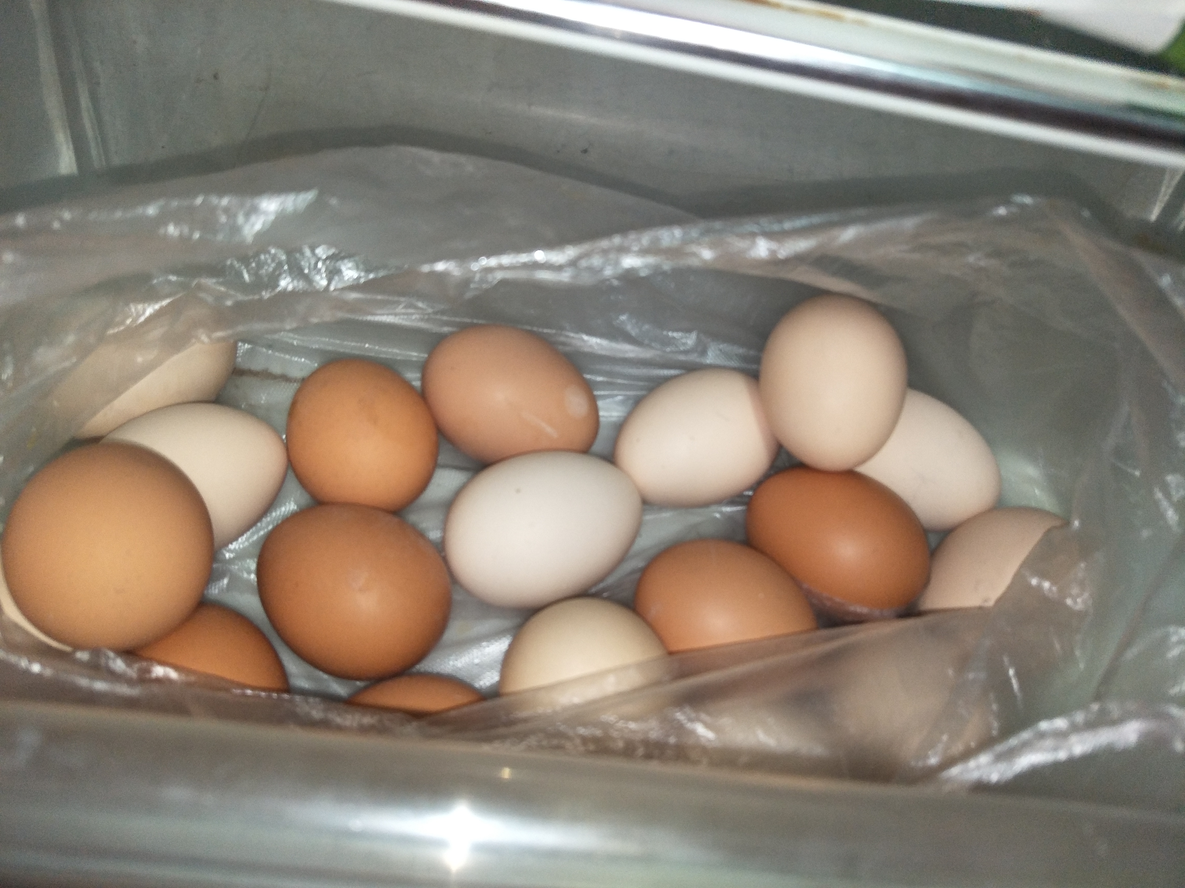 保存鸡蛋是大头朝上还是小头朝上,公鸡蛋如何保存不变质