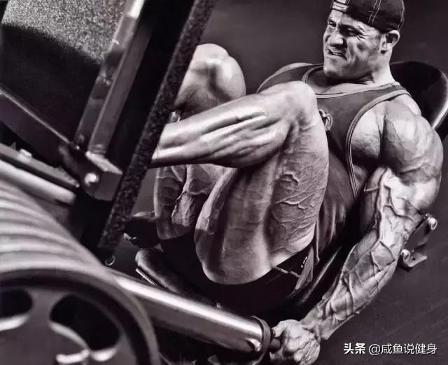 运动膝盖疼，可能是你股四头肌不够发达。几个动作改善股四头肌