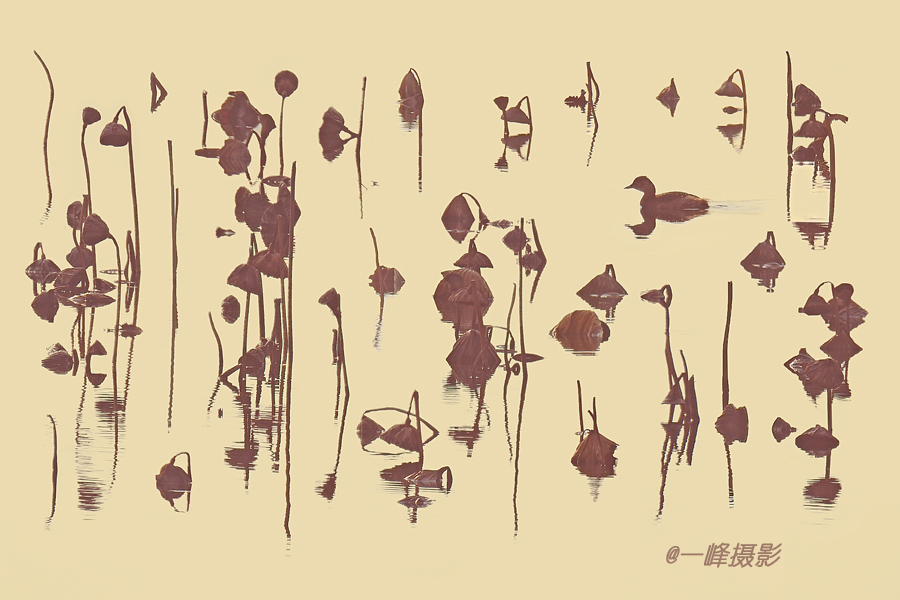 变焦拍摄的方法和技巧视频,变焦拍摄教程