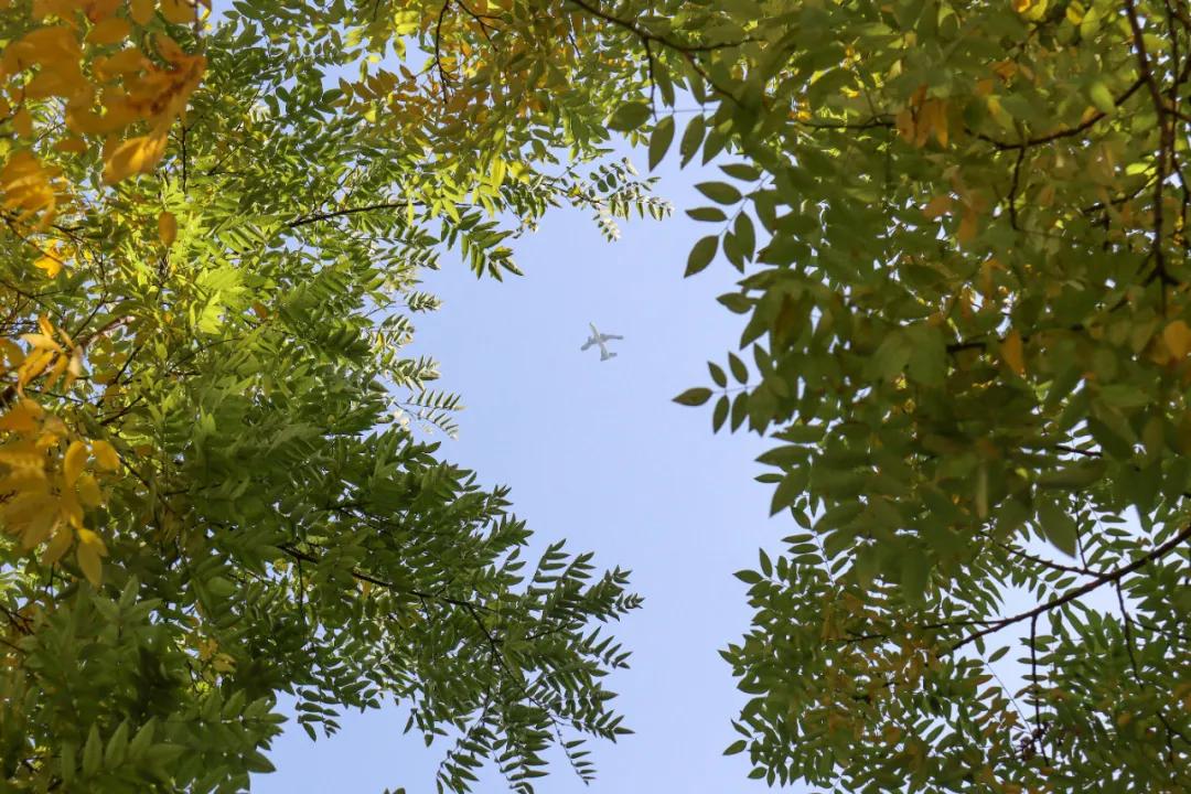 醉美大工秋|读书不觉已秋深，____________