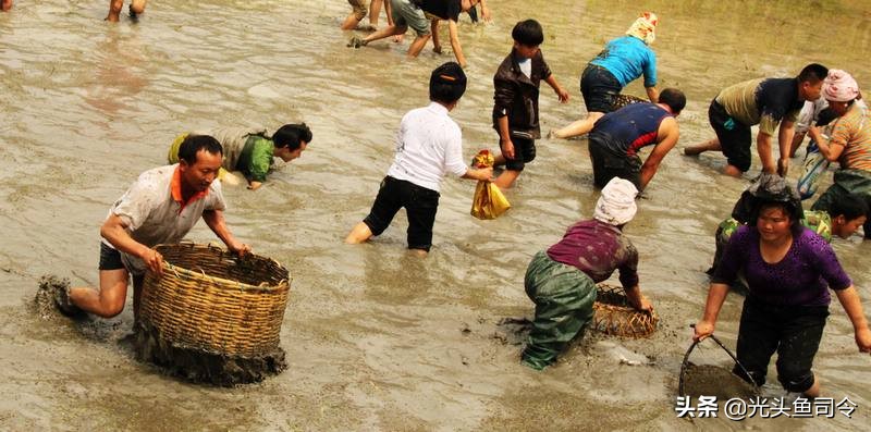 钓黄鳝为什么要用引钩,懒人钩钓黄鳝好用吗