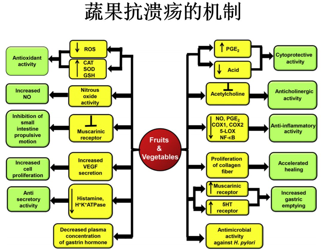幽门螺旋杆菌胃病吃什么可根除,幽门螺旋杆菌阳性中医怎么调养