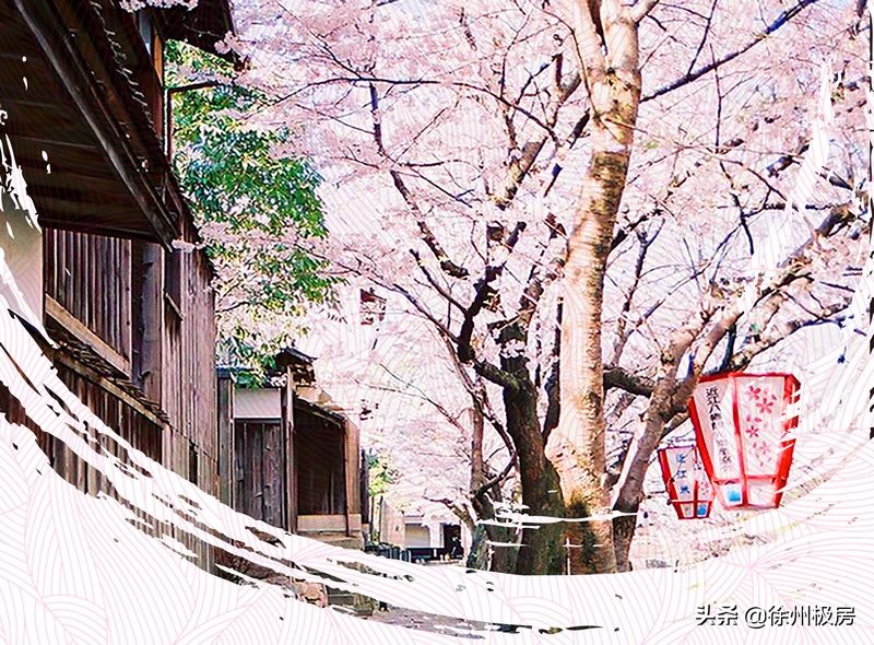 半山悦景再现百年山居精神,半山悦景的梅花坞