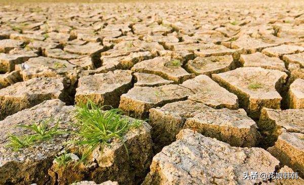 酸性土壤板结还是碱性土壤板结坏,土壤板结是怎么样的