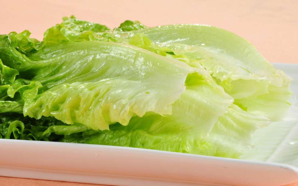 观赏鱼适合多久喂一次食物,观赏鱼喜欢什么水果和蔬菜