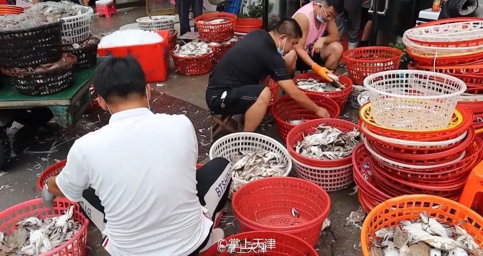 真羡慕住在大城市的人,真羡慕那些住高档小区的人