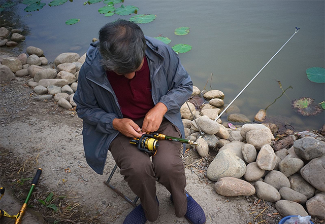新手海竿野钓推荐饵料,海竿钓鱼最好的饵料