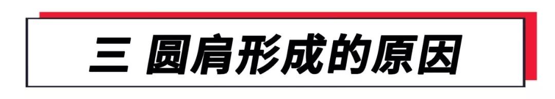 圆肩矫正动画,圆肩体态矫正训练