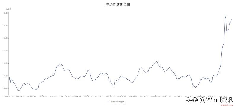 “猪中茅台”成中小板龙头！猪肉股迎“第二春”